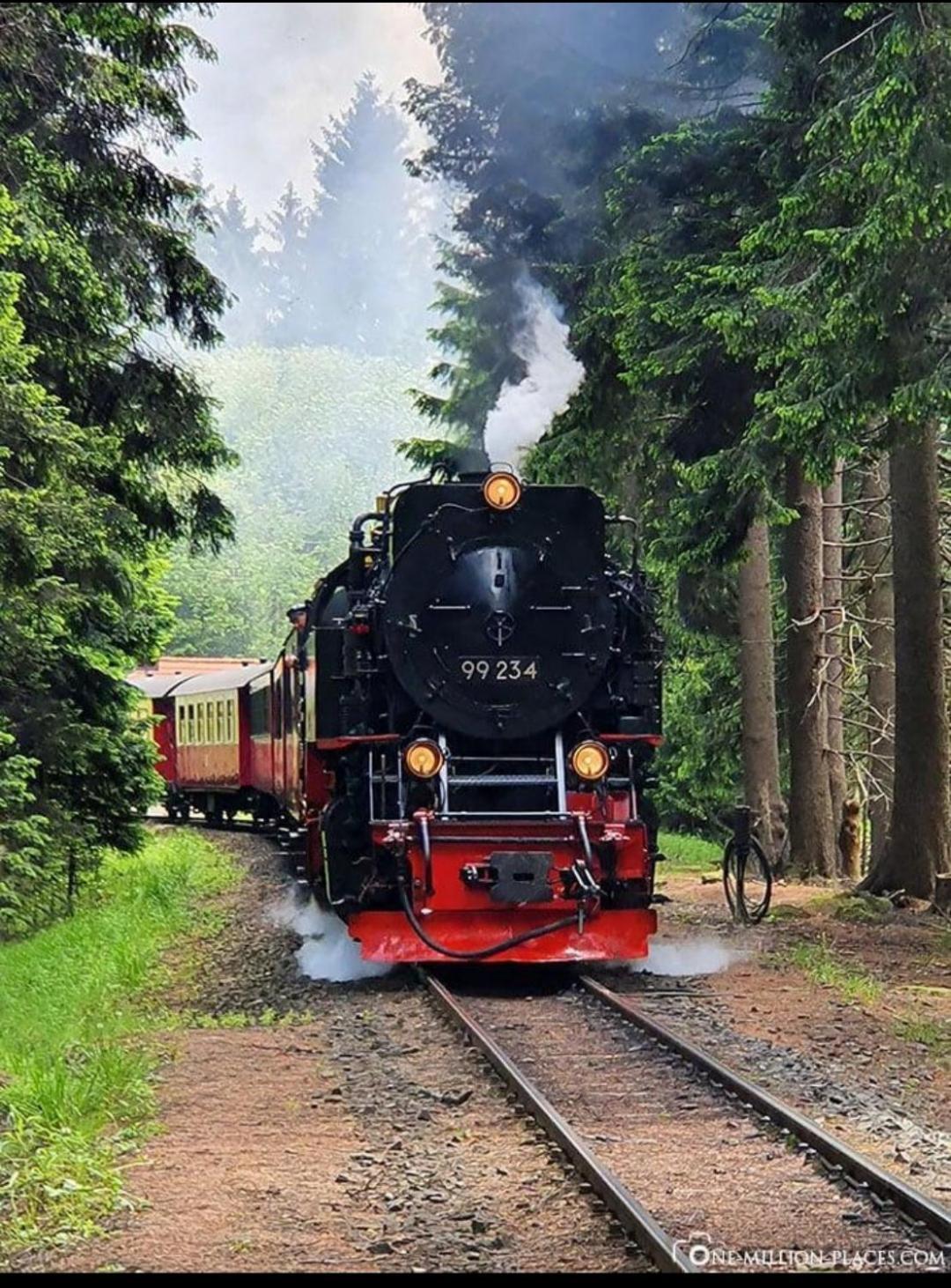 Ferienwohnung Holzmann Wernigerode Exteriör bild